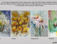 Screenshot_20250718-0859532