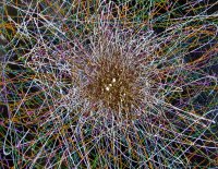 web-2025-FluidAER-Nexus-Anja-Semling