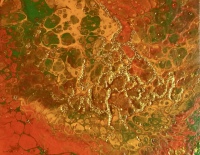 web-2025-FluidARTGoldfluss